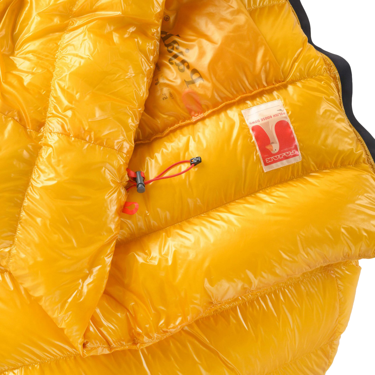 Pajak Radical ULZ Gold | Buy Pajak Radical ULZ Gold here | Outnorth